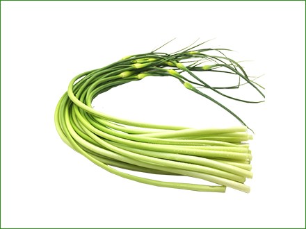 fresh garlic stem