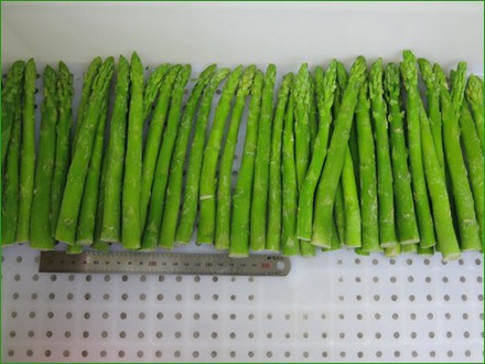 frozen asparagus